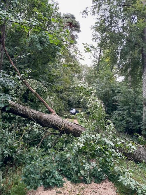 Das Unwetter hat Bäume umgeworfen, die nun viele Wege auf Heidenheimer Gemarkung blockieren. Foto: Stadt Heidenheim